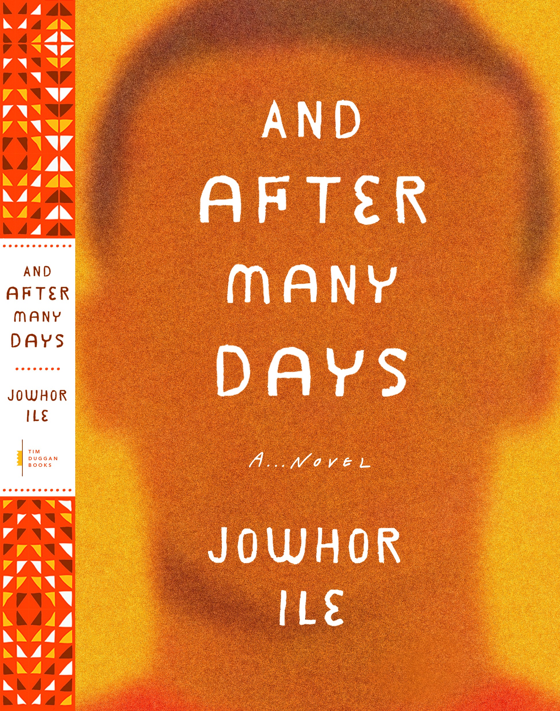 Image of the book "and after many days"